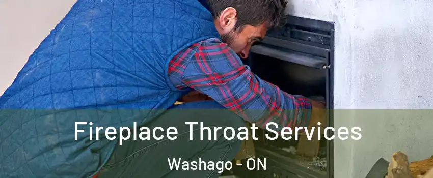  Fireplace Throat Services Washago - ON