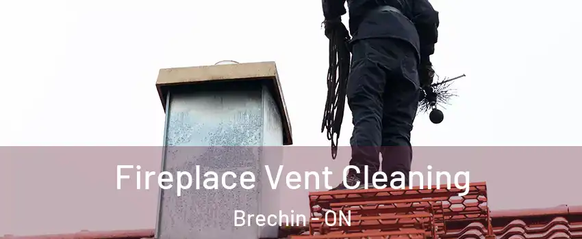  Fireplace Vent Cleaning Brechin - ON