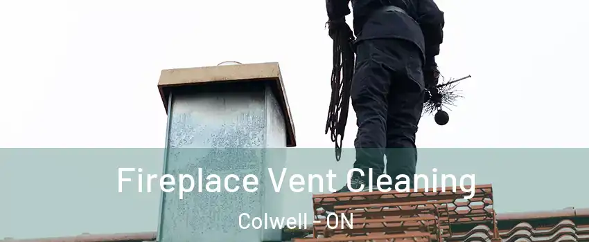  Fireplace Vent Cleaning Colwell - ON