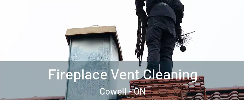  Fireplace Vent Cleaning Cowell - ON