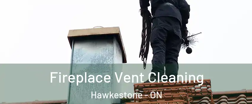  Fireplace Vent Cleaning Hawkestone - ON