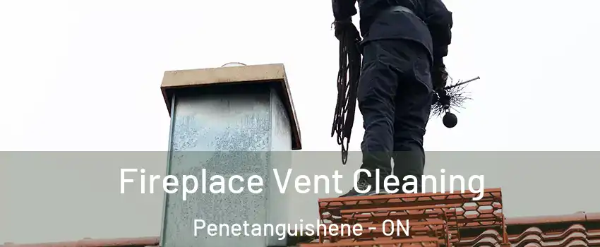  Fireplace Vent Cleaning Penetanguishene - ON