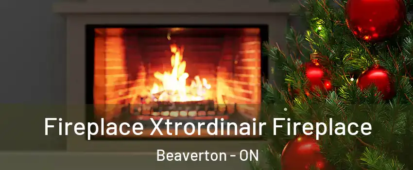  Fireplace Xtrordinair Fireplace Beaverton - ON