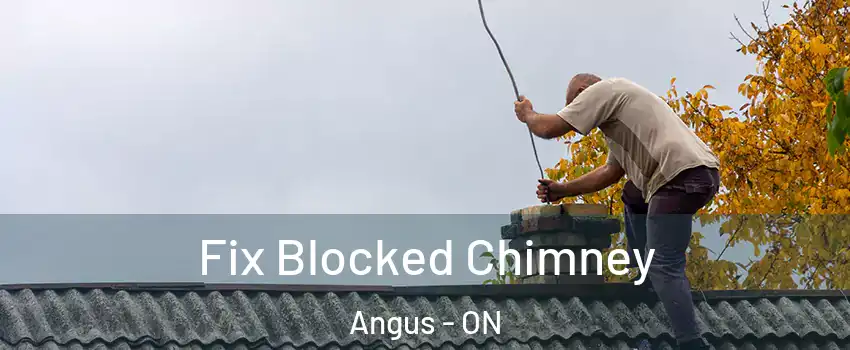 Fix Blocked Chimney Angus - ON