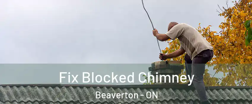 Fix Blocked Chimney Beaverton - ON