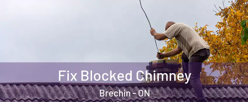  Fix Blocked Chimney Brechin - ON