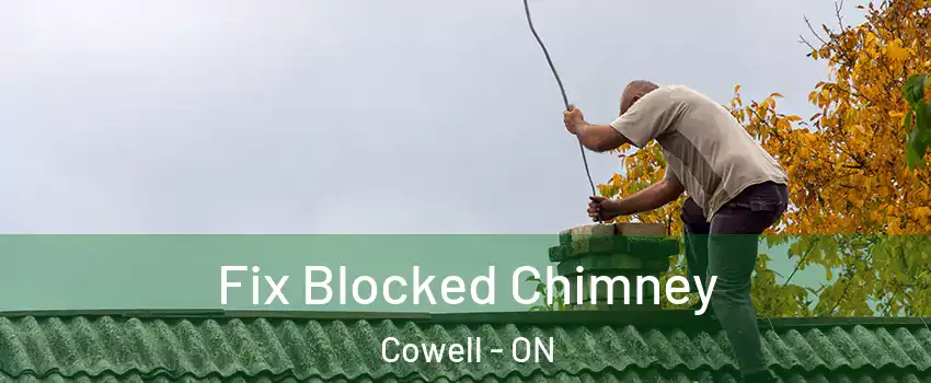  Fix Blocked Chimney Cowell - ON