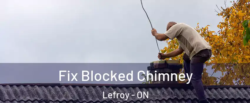 Fix Blocked Chimney Lefroy - ON