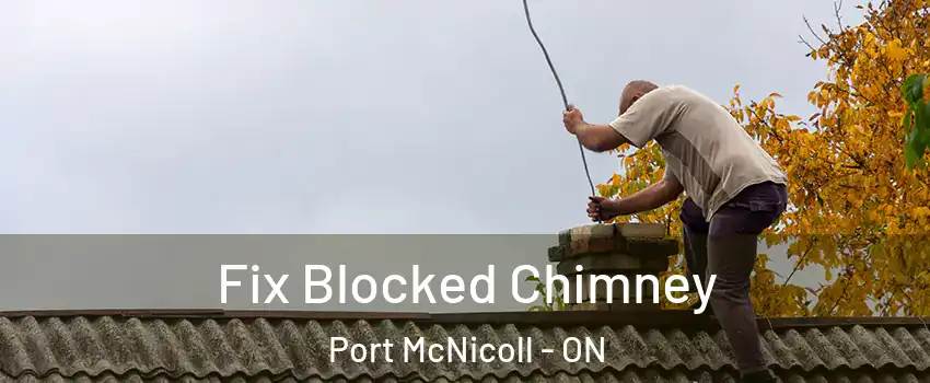  Fix Blocked Chimney Port McNicoll - ON