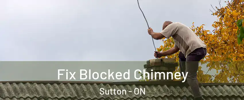  Fix Blocked Chimney Sutton - ON
