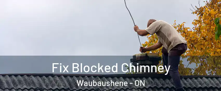  Fix Blocked Chimney Waubaushene - ON