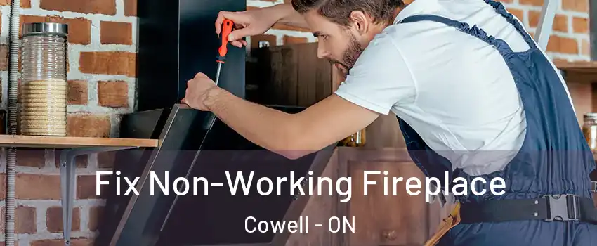  Fix Non-Working Fireplace Cowell - ON