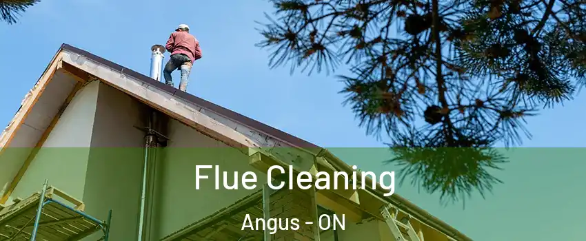 Flue Cleaning Angus - ON
