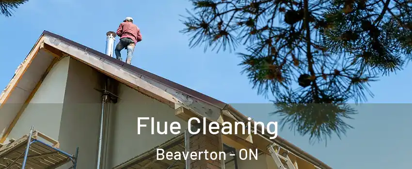 Flue Cleaning Beaverton - ON