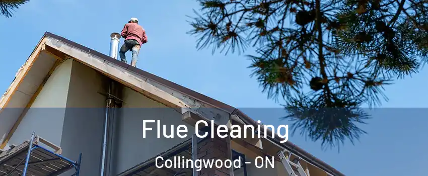  Flue Cleaning Collingwood - ON