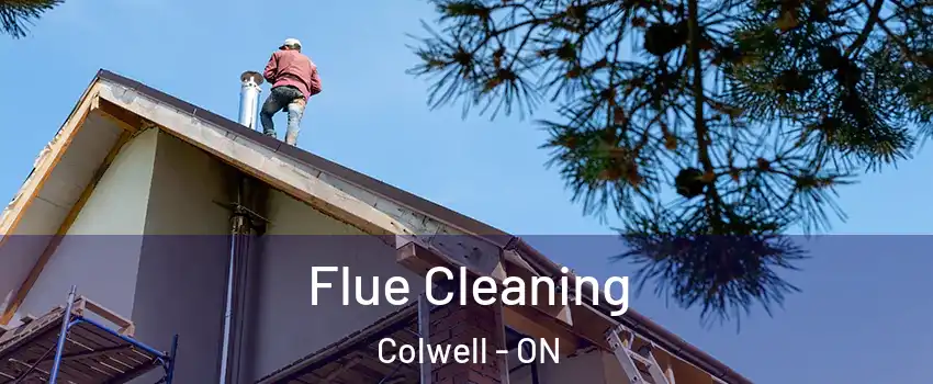 Flue Cleaning Colwell - ON