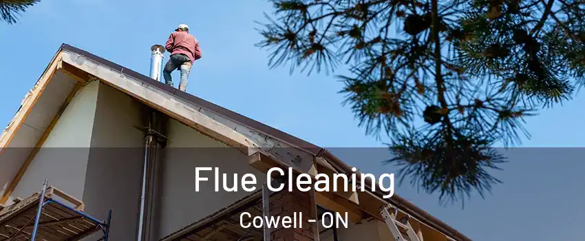  Flue Cleaning Cowell - ON