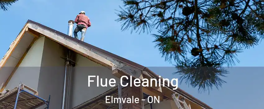 Flue Cleaning Elmvale - ON