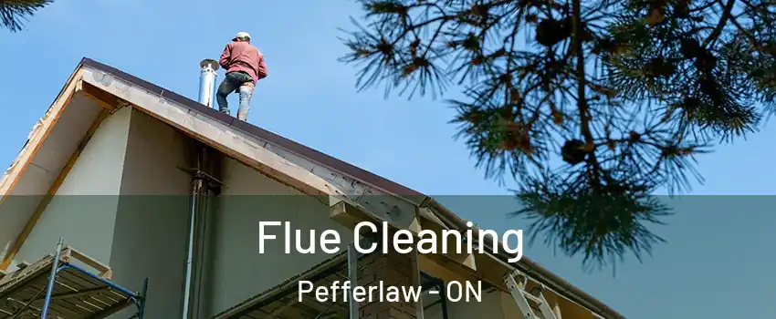  Flue Cleaning Pefferlaw - ON
