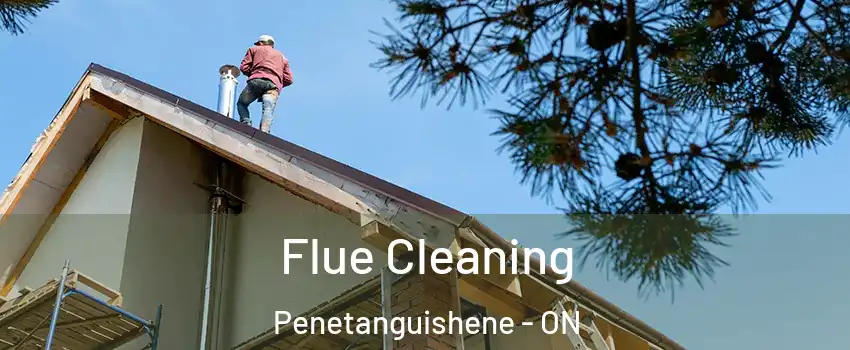  Flue Cleaning Penetanguishene - ON