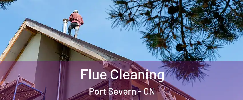  Flue Cleaning Port Severn - ON