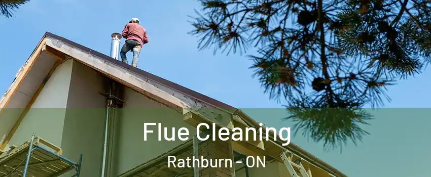  Flue Cleaning Rathburn - ON
