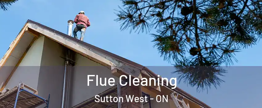 Flue Cleaning Sutton West - ON