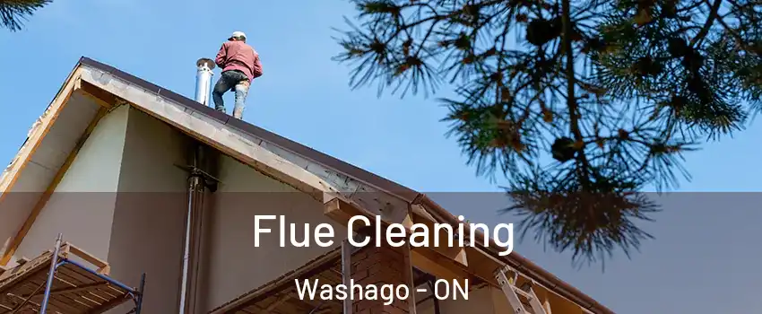  Flue Cleaning Washago - ON