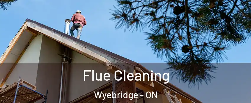 Flue Cleaning Wyebridge - ON