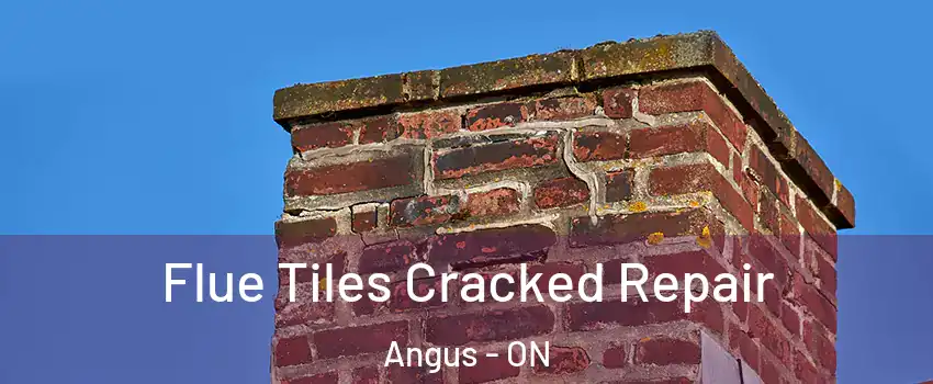  Flue Tiles Cracked Repair Angus - ON