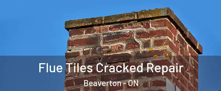  Flue Tiles Cracked Repair Beaverton - ON