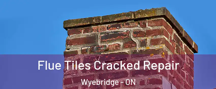  Flue Tiles Cracked Repair Wyebridge - ON