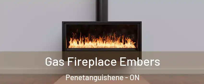  Gas Fireplace Embers Penetanguishene - ON