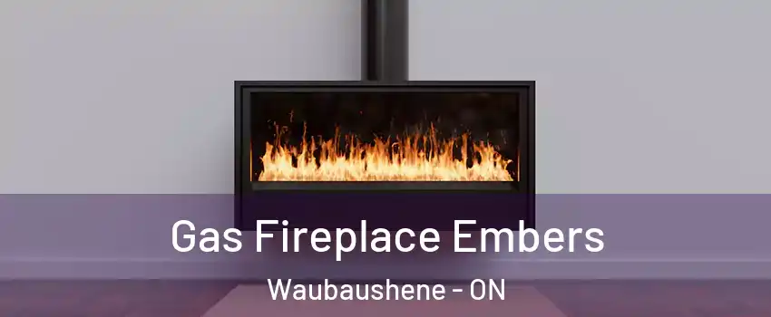  Gas Fireplace Embers Waubaushene - ON