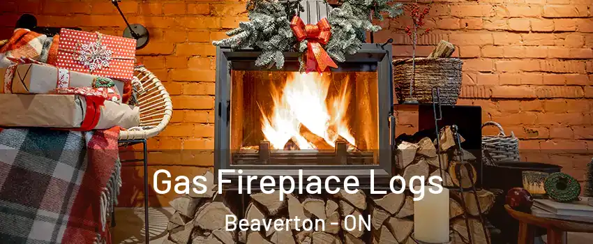  Gas Fireplace Logs Beaverton - ON