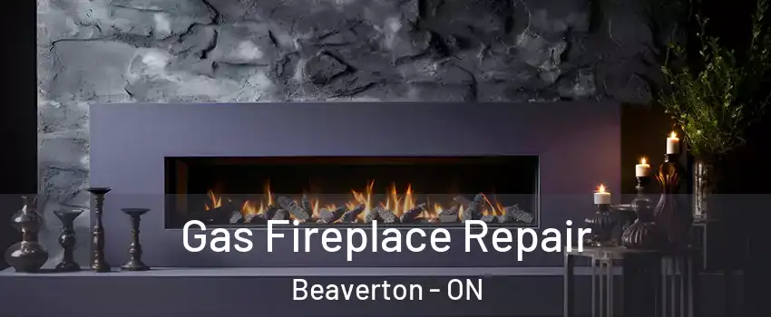  Gas Fireplace Repair Beaverton - ON