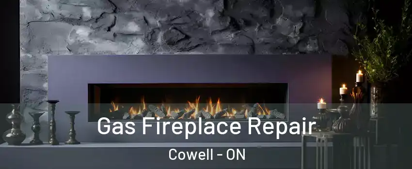  Gas Fireplace Repair Cowell - ON