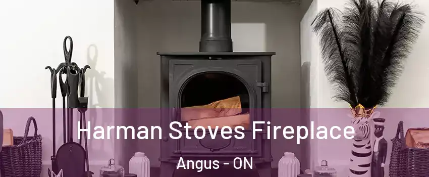  Harman Stoves Fireplace Angus - ON