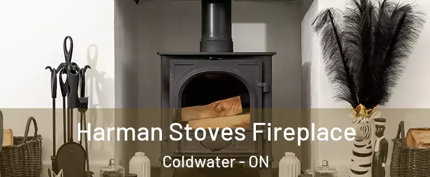  Harman Stoves Fireplace Coldwater - ON