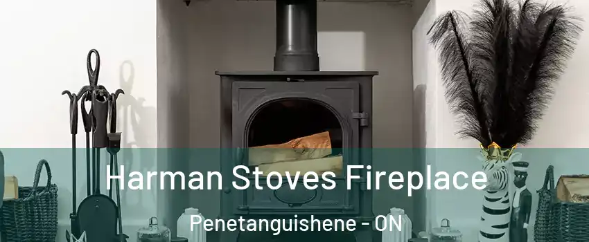  Harman Stoves Fireplace Penetanguishene - ON