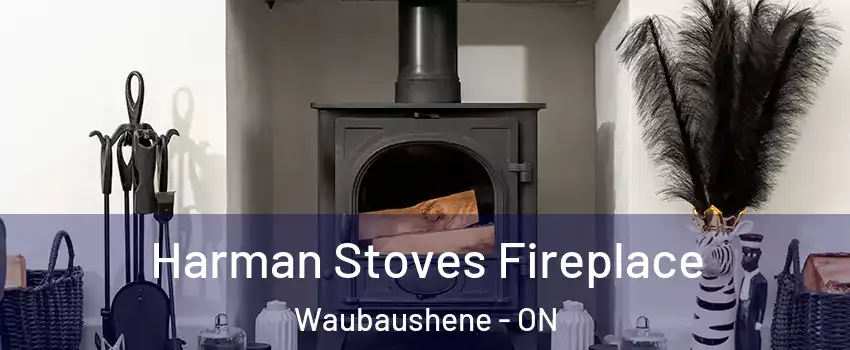 Harman Stoves Fireplace Waubaushene - ON