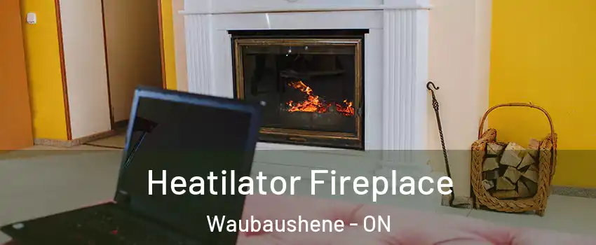  Heatilator Fireplace Waubaushene - ON