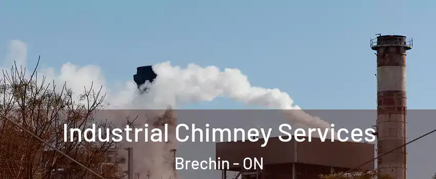 Industrial Chimney Services Brechin - ON