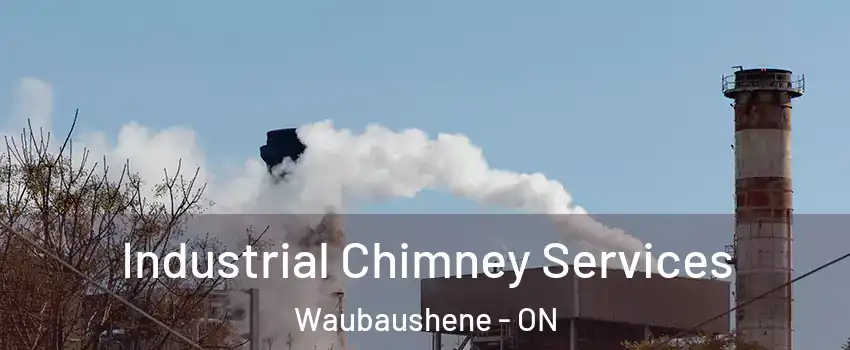 Industrial Chimney Services Waubaushene - ON