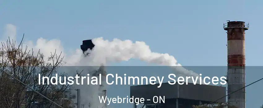  Industrial Chimney Services Wyebridge - ON