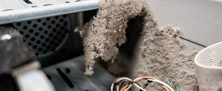 Clogged Dryer Vent Lint Cleaning in Collingwood, Ontario