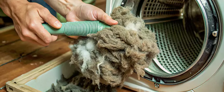Best Dryer Lint Removal Company in Collingwood, Ontario