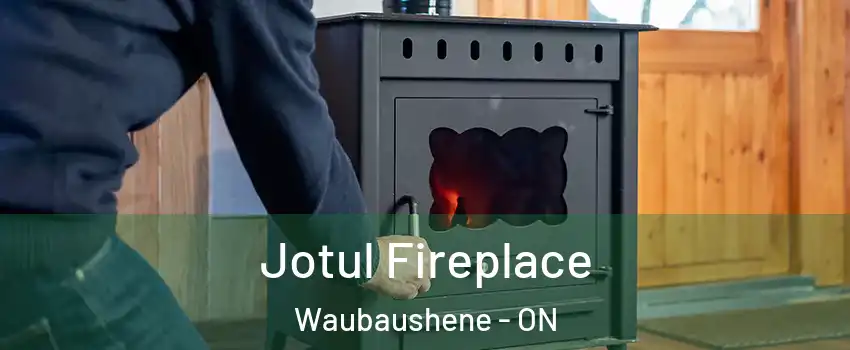  Jotul Fireplace Waubaushene - ON