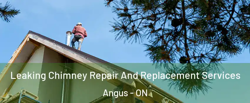  Leaking Chimney Repair And Replacement Services Angus - ON