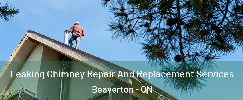  Leaking Chimney Repair And Replacement Services Beaverton - ON
